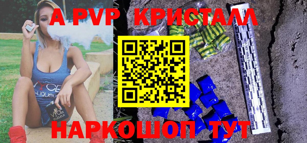 A PVP СК КРИС Киров