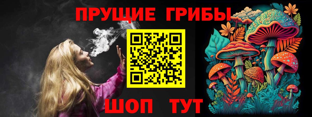 Псилоцибиновые грибы GOLDEN TEACHER  наркошоп  Киров  Вход с VPN  Галлюциногенные грибы прущие грибы 