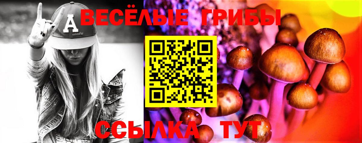 Псилоцибиновые грибы Psilocybine cubensis Киров